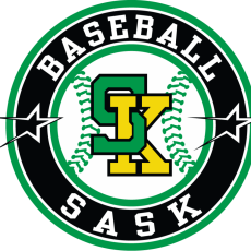 Voluntary Baseball Injury Survey and Information for Players/Parents/Coaches
