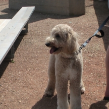 2018 Provincial Junior Tournament July 28 Pics 