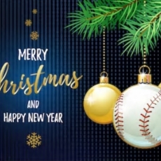 Merry Christmas and Happy New Year 2020!