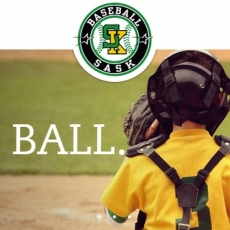 Familiarize Yourself With Latest Info from Baseball Sask....